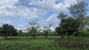 Riverfront Hidden Gem in Sagana - thumbnail 2