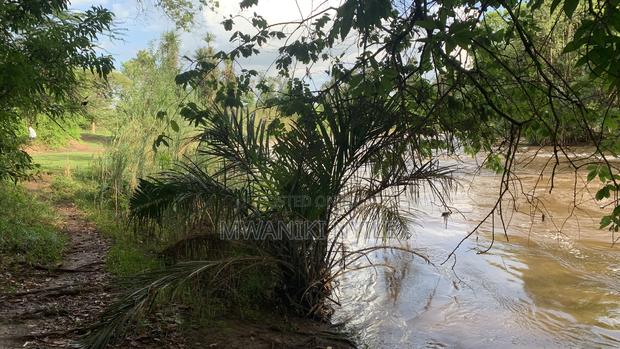 Riverfront Hidden Gem in Sagana - thumbnail 3