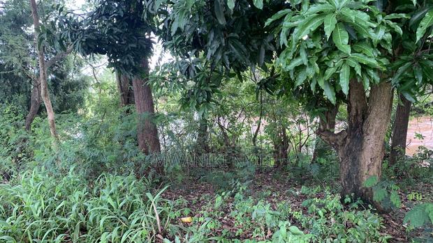 Riverfront Hidden Gem in Sagana - thumbnail 4