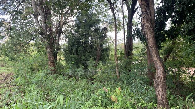 Riverfront Hidden Gem in Sagana - thumbnail 6