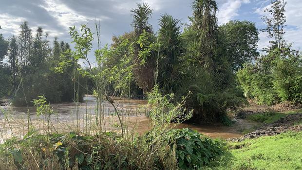 Riverfront Hidden Gem in Sagana - thumbnail 9