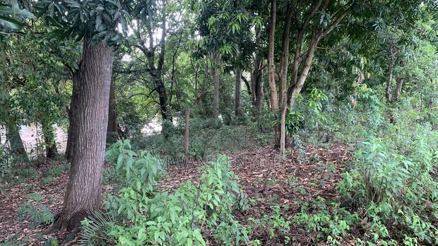 Riverfront Hidden Gem in Sagana - thumbnail 10