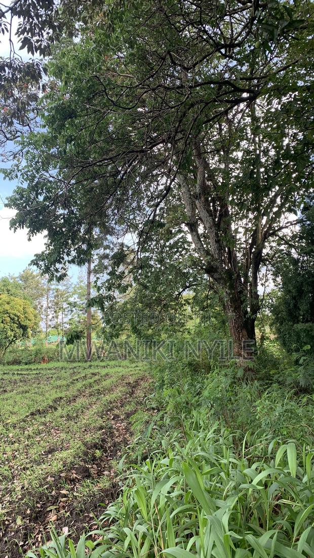 Riverfront Hidden Gem in Sagana - thumbnail 12