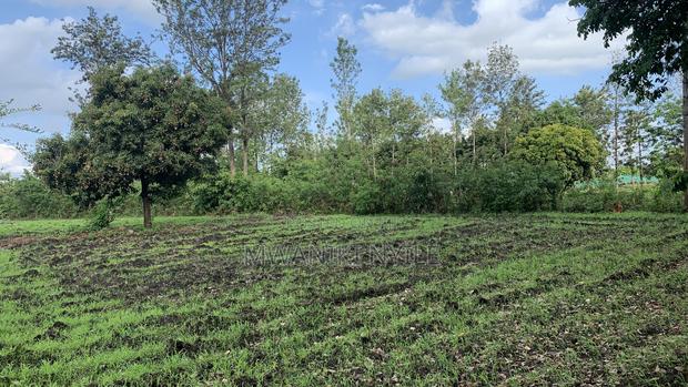 Riverfront Hidden Gem in Sagana - thumbnail 13