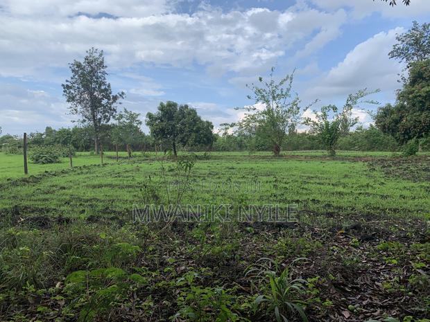 Riverfront Hidden Gem in Sagana - thumbnail 14