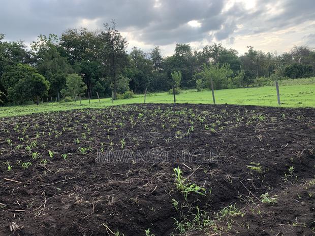 Riverfront Hidden Gem in Sagana - thumbnail 16