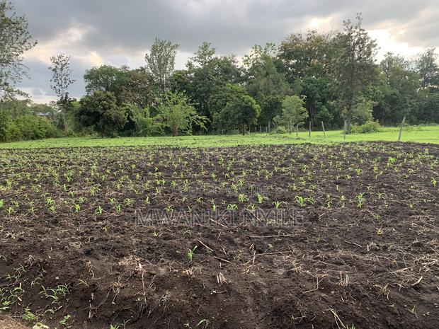 Riverfront Hidden Gem in Sagana - thumbnail 17