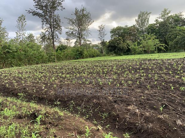 Riverfront Hidden Gem in Sagana - thumbnail 18