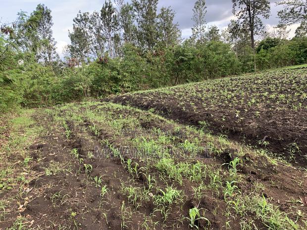 Riverfront Hidden Gem in Sagana - thumbnail 19