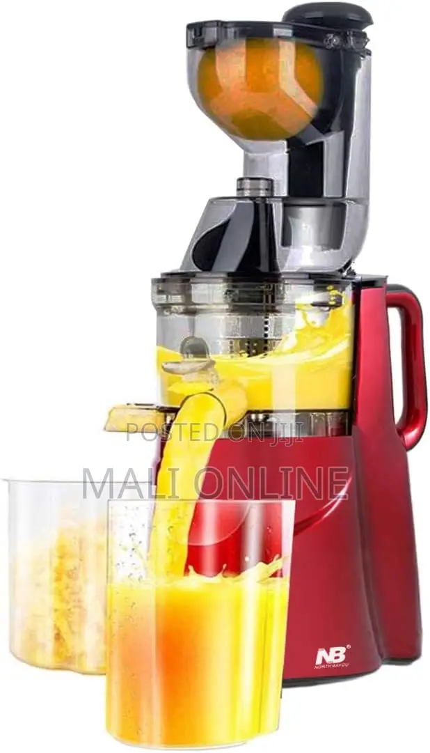 Hoffman Hm-635 Slow Masticating Juicer 200w Cold Press Juice Extractor