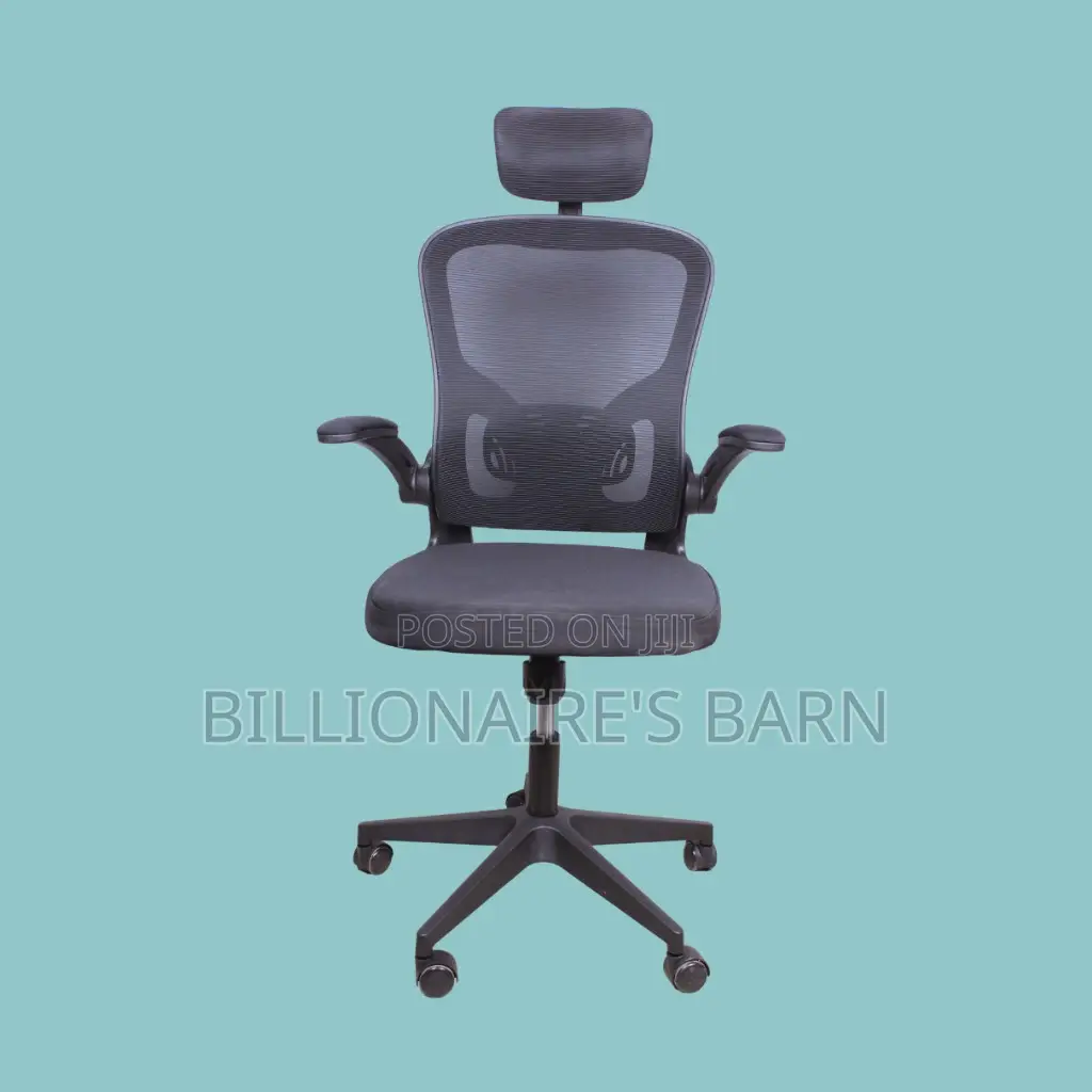 Orthopedic Grey Ergonomic Office Chair ,— Strong Stable Base
