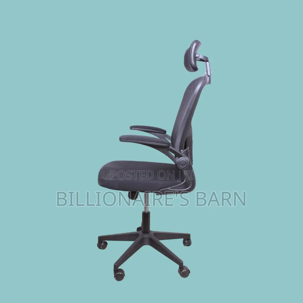 Orthopedic Grey Ergonomic Office Chair ,— Strong Stable Base
