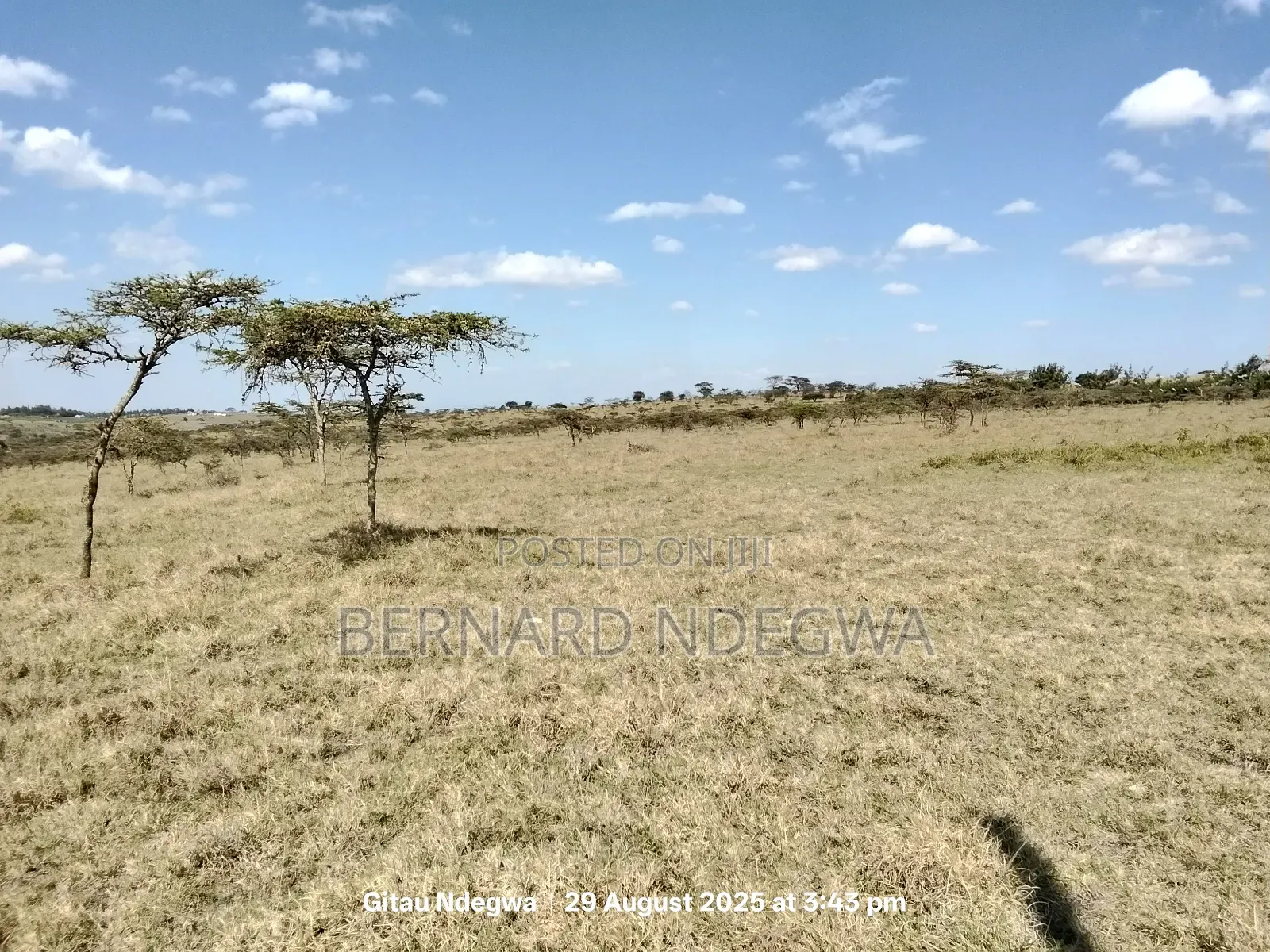 Flexible Sale: From 1 Acre to 1000