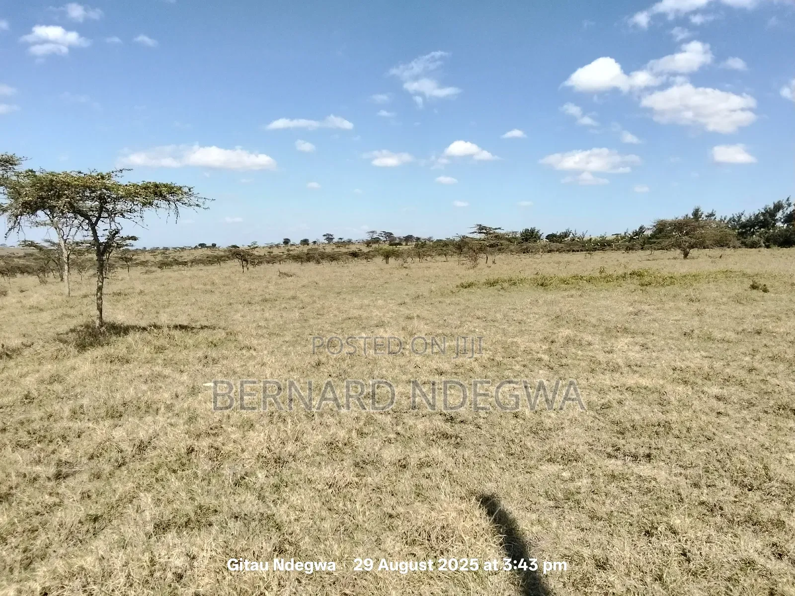 Flexible Sale: From 1 Acre to 1000