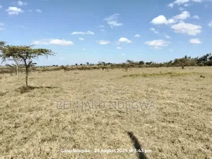 Flexible Sale: From 1 Acre to 1000