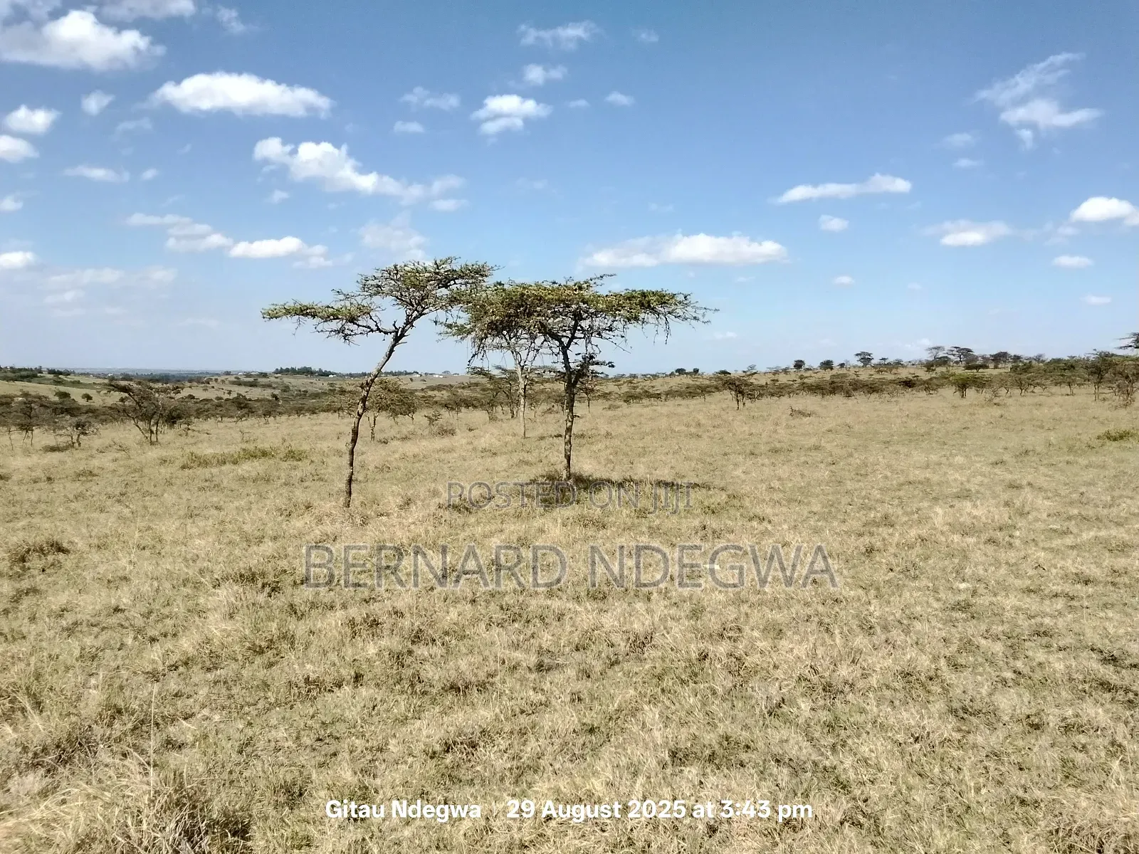 Flexible Sale: From 1 Acre to 1000