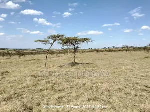 Flexible Sale: From 1 Acre to 1000