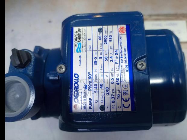 Original Pedrollo Booster Pump/Davis Shirtliff Pump - main view