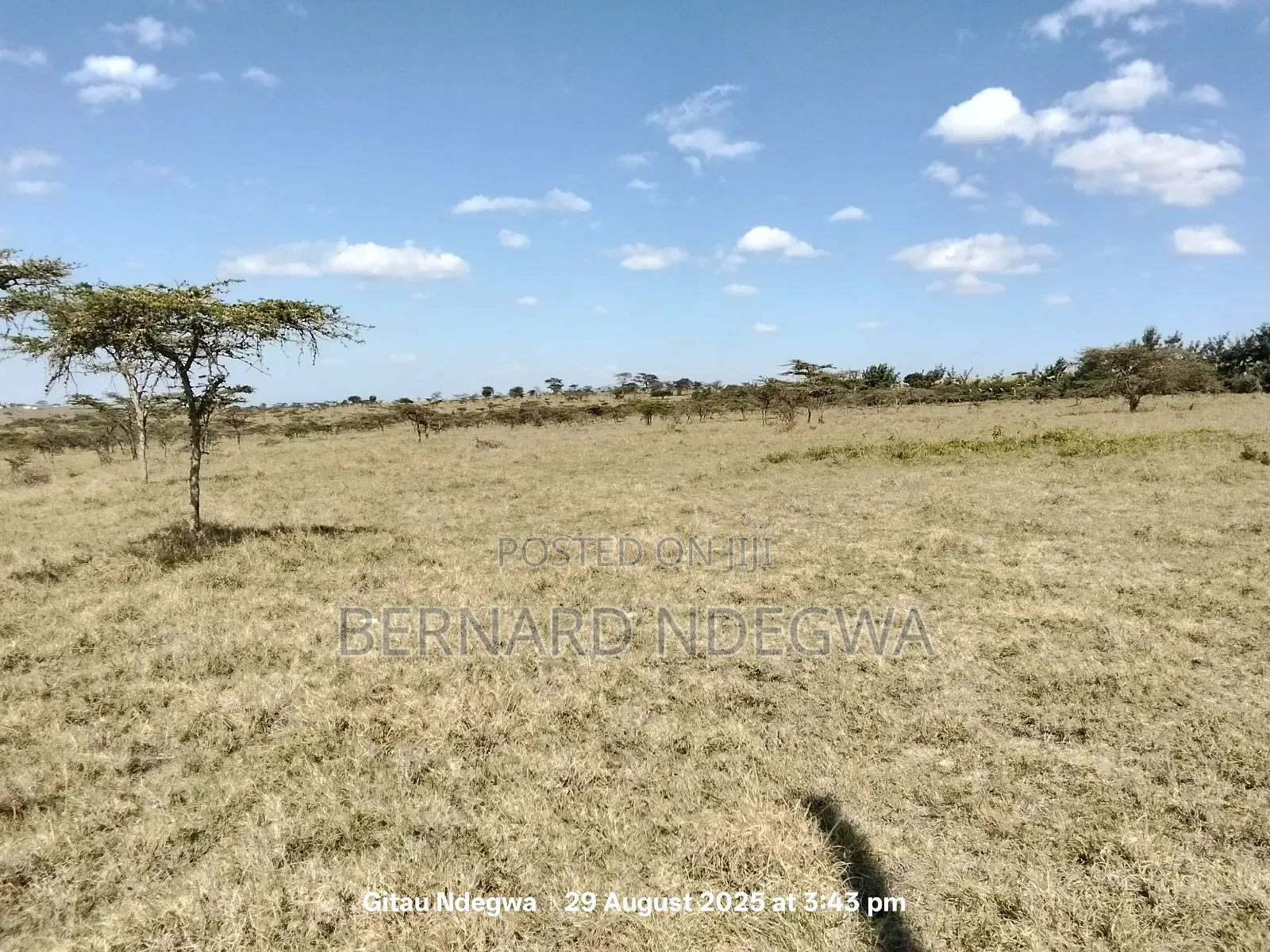 Flexible Sale: From 1 Acre to 1000