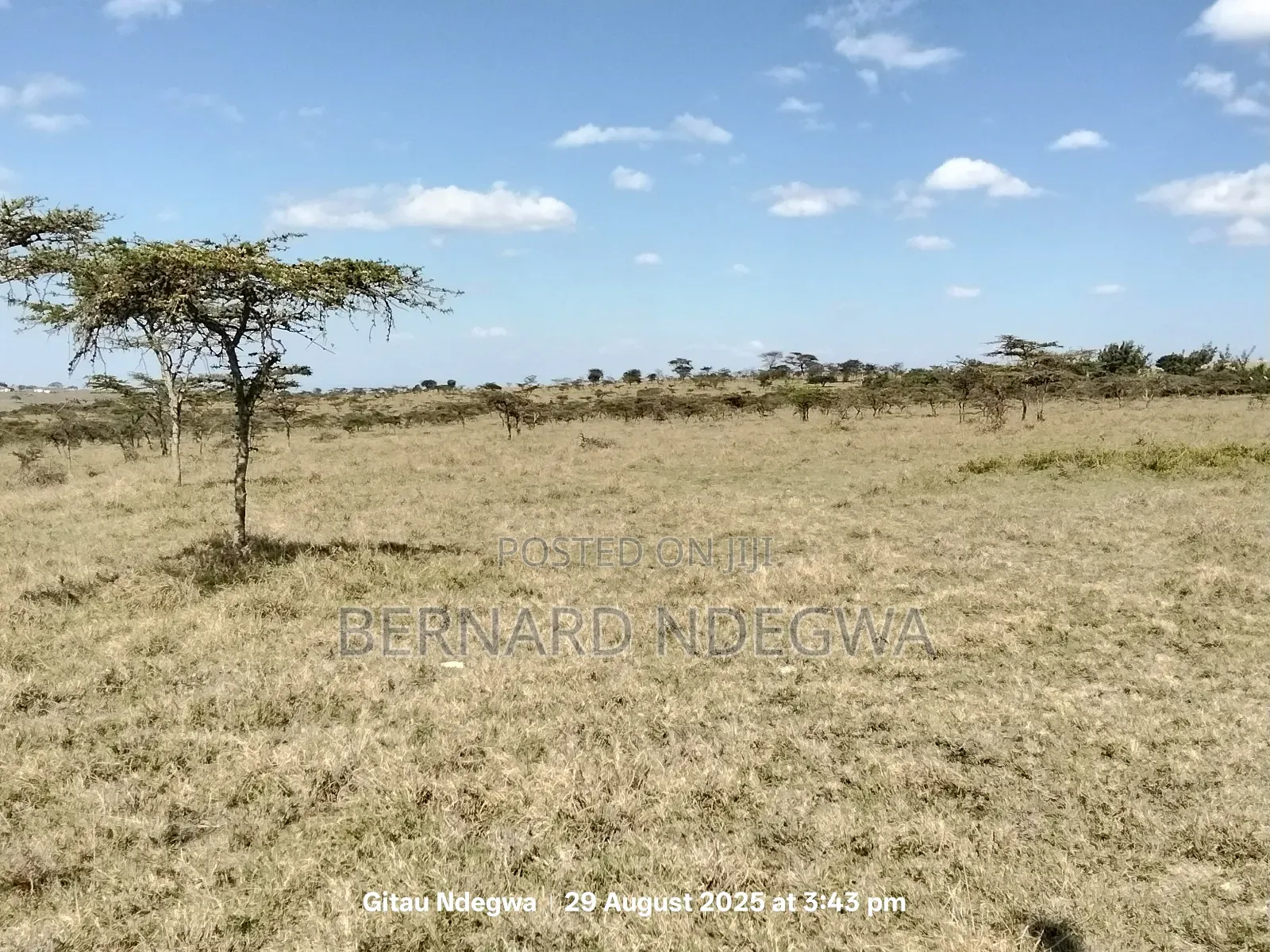 Flexible Sale: From 1 Acre to 1000