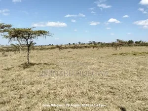 Flexible Sale: From 1 Acre to 1000