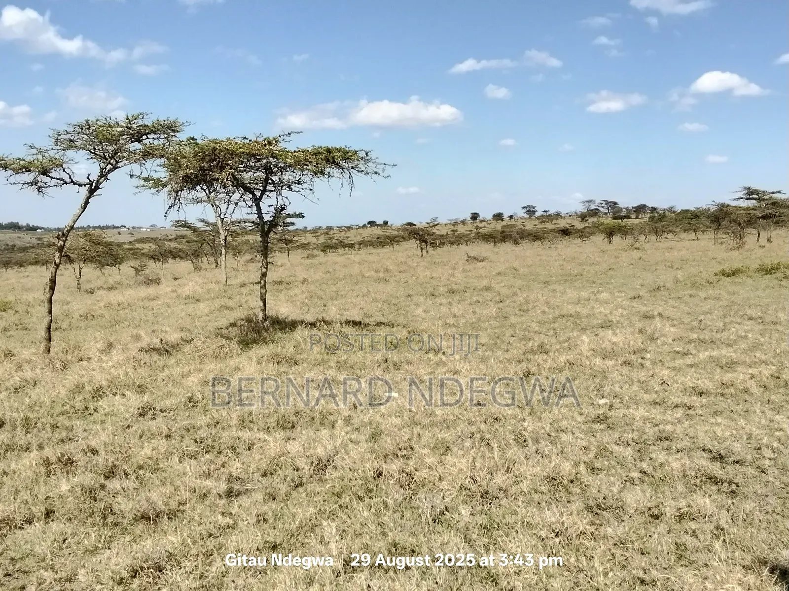 Flexible Sale: From 1 Acre to 1000