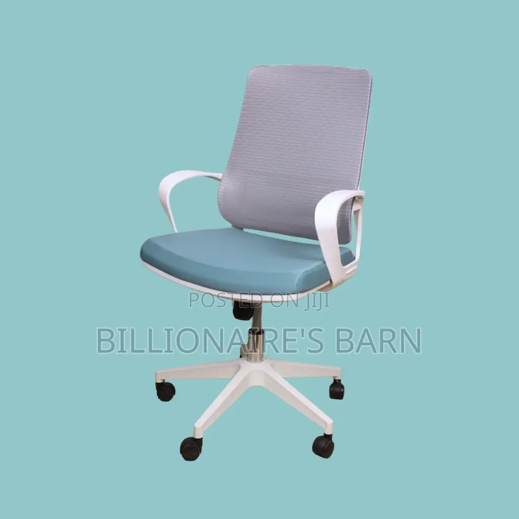 Orthopedic White Ergonomic Mesh Office Chair — Boosts Posture Focus