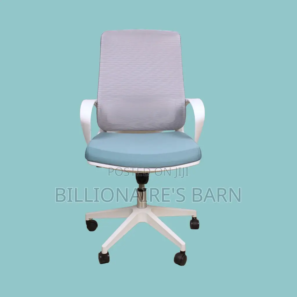 Orthopedic White Ergonomic Mesh Office Chair — Boosts Posture Focus