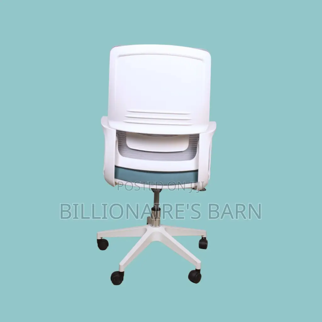 Orthopedic White Ergonomic Mesh Office Chair — Boosts Posture Focus