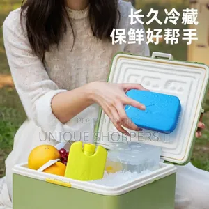 Ice Bricks/Ice Packs 2pcs. Set