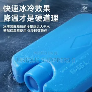 Ice Bricks/Ice Packs 2pcs. Set