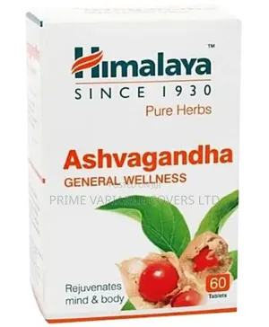 Ashvagandha– Boost Energy, Calm Your Mind, Strengthen Your Immunity