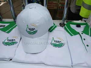 Embroidery _Caps