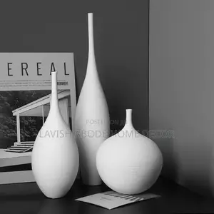 Luxury 3pc Ceramic White Brushed Decor Vases