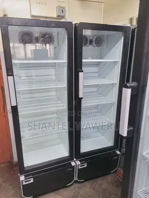 Best Chiller Display Fridge