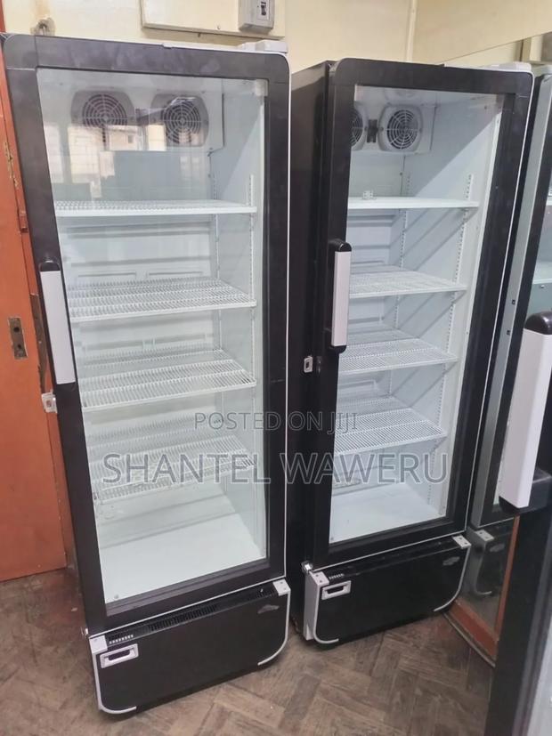 Best Chiller Display Fridge - thumbnail 2