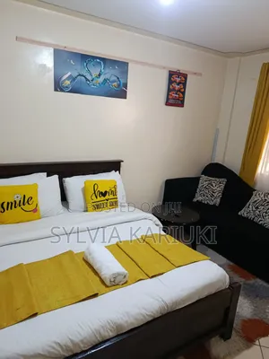 Furnished Airbnb Studio in South B