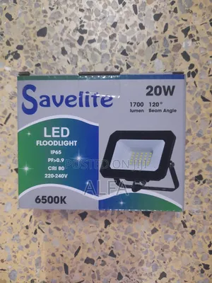 Savelite Floodlight 20watts