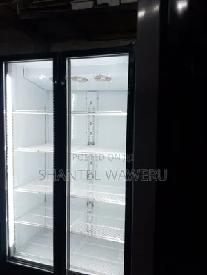 Double Door Display Refrigerator Commercial One