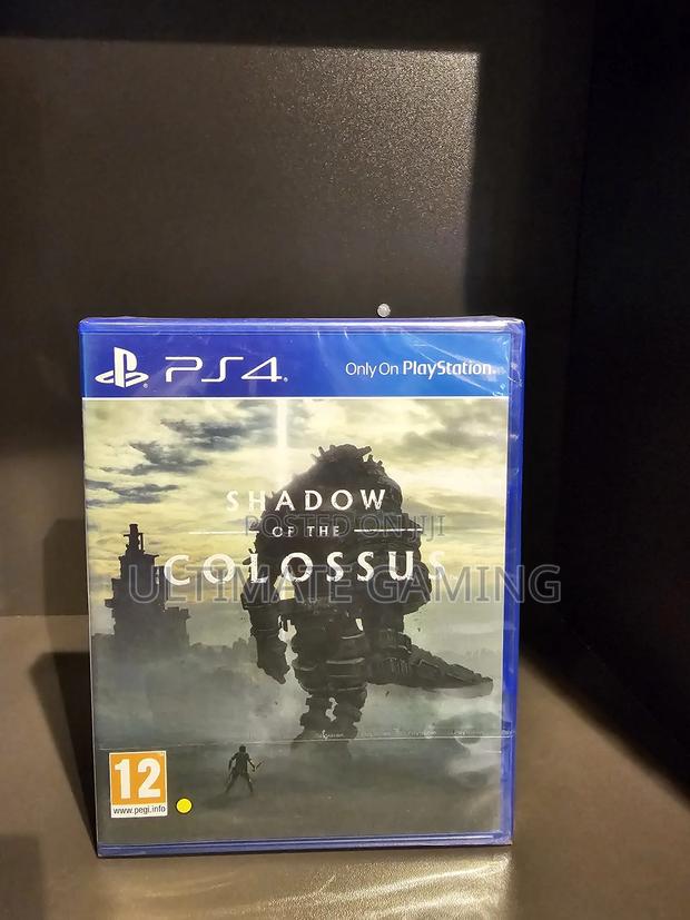 Ps4 Shadow of the Colossus - main view