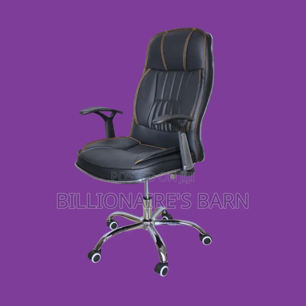 Ergonomic Executive Leather Office Chair | Mesh Backrest
