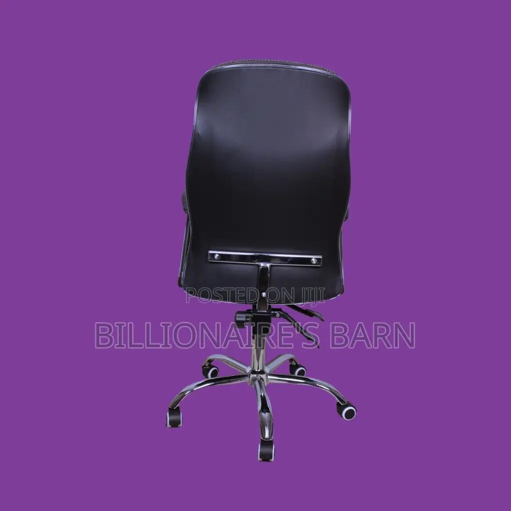 Ergonomic Executive Leather Office Chair | Mesh Backrest