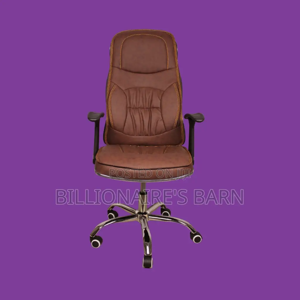 Pro-Grade, Ergonomic Executive Leather Chair | Mesh Backrest