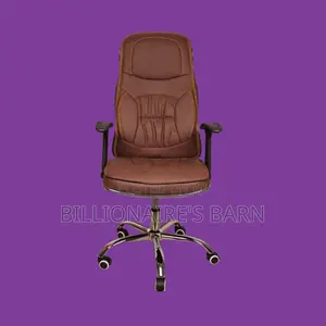 Pro-Grade, Ergonomic Executive Leather Chair | Mesh Backrest