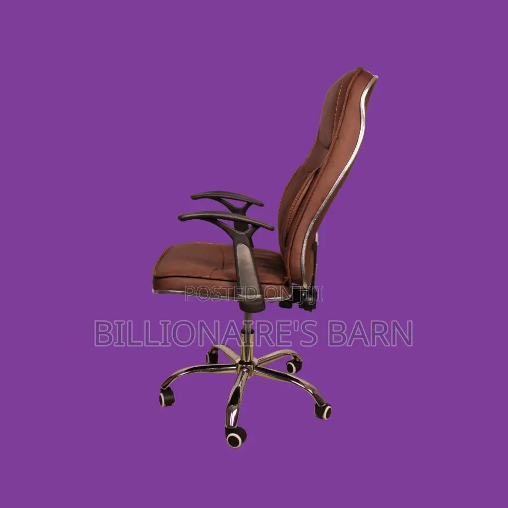 Pro-Grade, Ergonomic Executive Leather Chair | Mesh Backrest