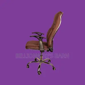 Pro-Grade, Ergonomic Executive Leather Chair | Mesh Backrest