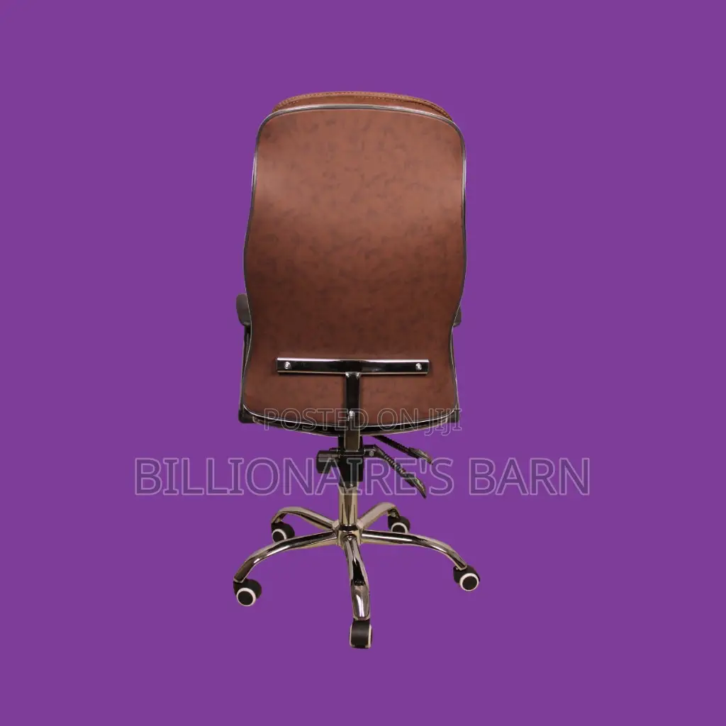 Pro-Grade, Ergonomic Executive Leather Chair | Mesh Backrest