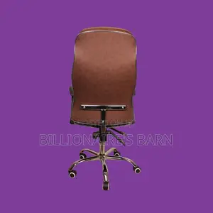 Pro-Grade, Ergonomic Executive Leather Chair | Mesh Backrest
