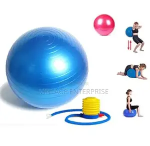 Yoga Ball 75cm With Pump -Blue