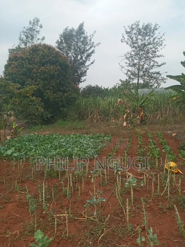 Land for Sale in Kiambu - thumbnail 4